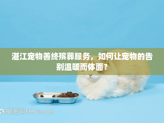湛江宠物善终殡葬服务，如何让宠物的告别温暖而体面？