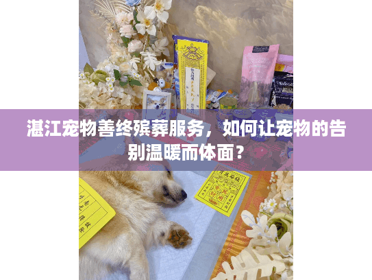 湛江宠物善终殡葬服务，如何让宠物的告别温暖而体面？
