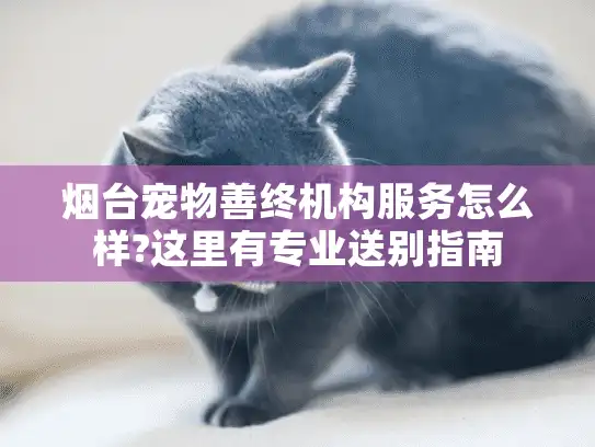 烟台宠物善终机构服务怎么样?这里有专业送别指南