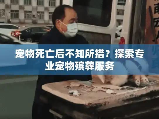 宠物死亡后不知所措？探索专业宠物殡葬服务