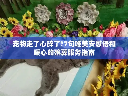 宠物走了心碎了?7句唯美安慰语和暖心的殡葬服务指南