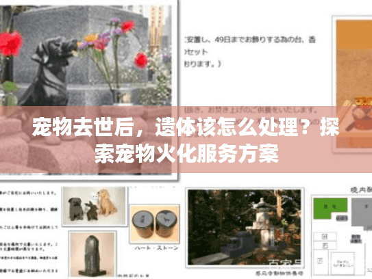 宠物去世后,遗体该怎么处理?探索宠物火化服务方案 宠物去世后,遗体该怎么处理?探索宠物火化服务方案