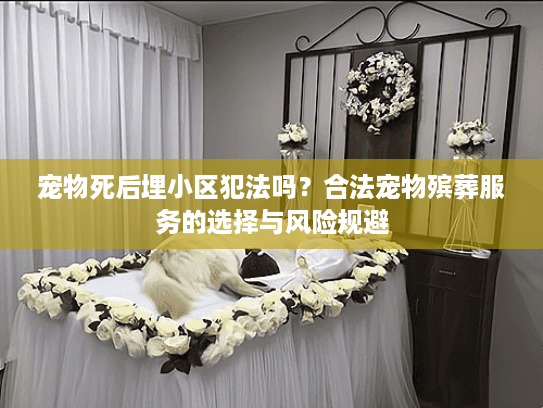 宠物死后埋小区犯法吗?合法宠物殡葬服务的选择与风险规避 宠物死后埋小区犯法吗?合法宠物殡葬服务的选择与风险规避