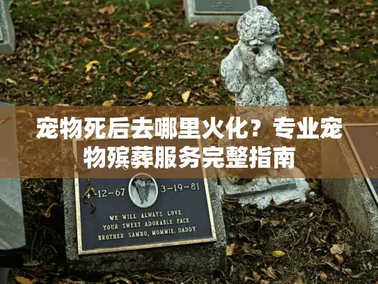 宠物死后去哪里火化？专业宠物殡葬服务完整指南
