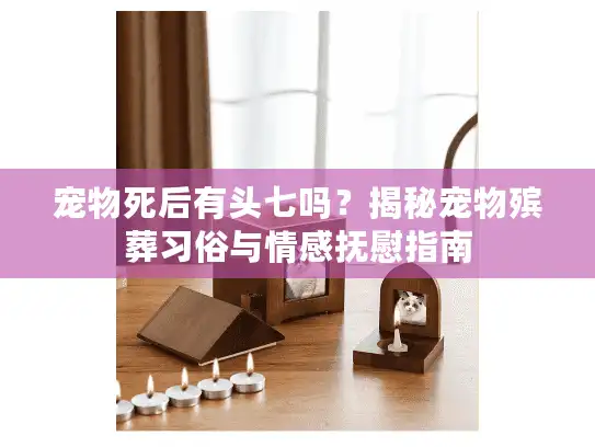宠物死后有头七吗？揭秘宠物殡葬习俗与情感抚慰指南