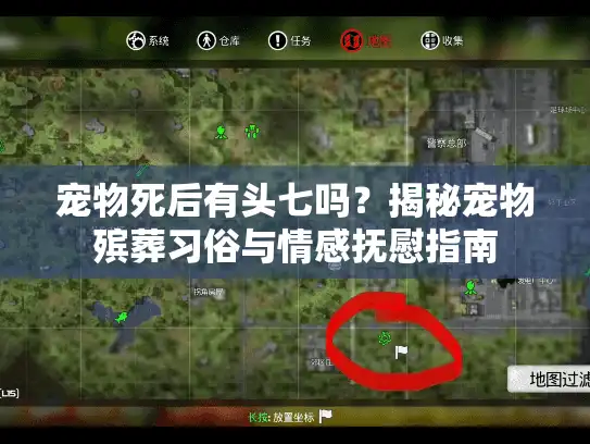 宠物死后有头七吗？揭秘宠物殡葬习俗与情感抚慰指南