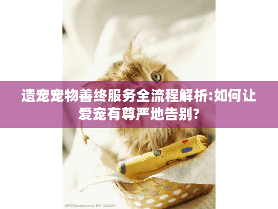 遗宠宠物善终服务全流程解析:如何让爱宠有尊严地告别?