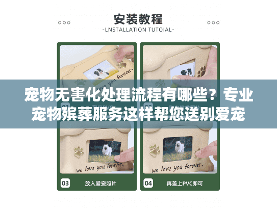 宠物无害化处理流程有哪些？专业宠物殡葬服务这样帮您送别爱宠