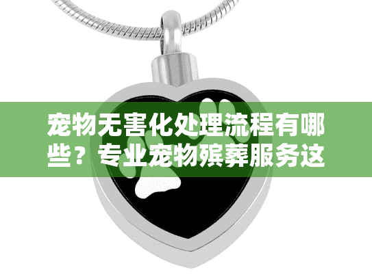 宠物无害化处理流程有哪些？专业宠物殡葬服务这样帮您送别爱宠