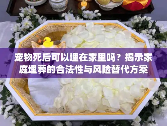 宠物死后可以埋在家里吗?揭示家庭埋葬的合法性与风险替代方案 宠物死后可以埋在家里吗?揭示家庭埋葬的合法性与风险替代方案