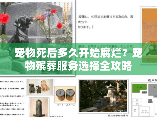 宠物死后多久开始腐烂？宠物殡葬服务选择全攻略