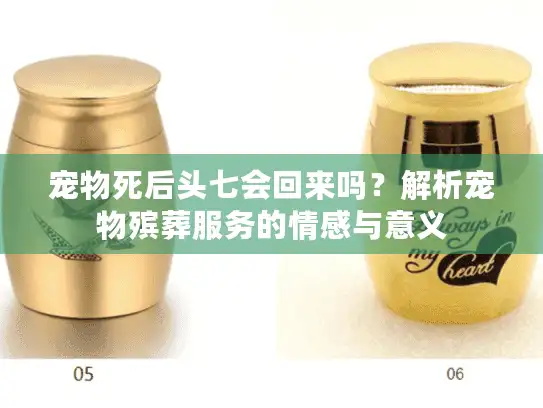 宠物死后头七会回来吗？解析宠物殡葬服务的情感与意义