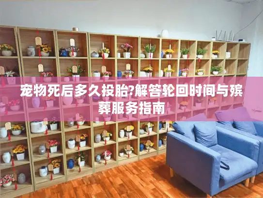宠物死后多久投胎?解答轮回时间与殡葬服务指南