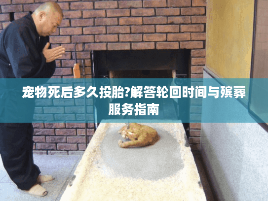 宠物死后多久投胎?解答轮回时间与殡葬服务指南