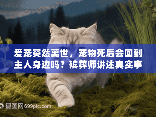 爱宠突然离世，宠物死后会回到主人身边吗？殡葬师讲述真实事例分享