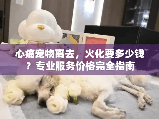 心痛宠物离去，火化要多少钱？专业服务价格完全指南