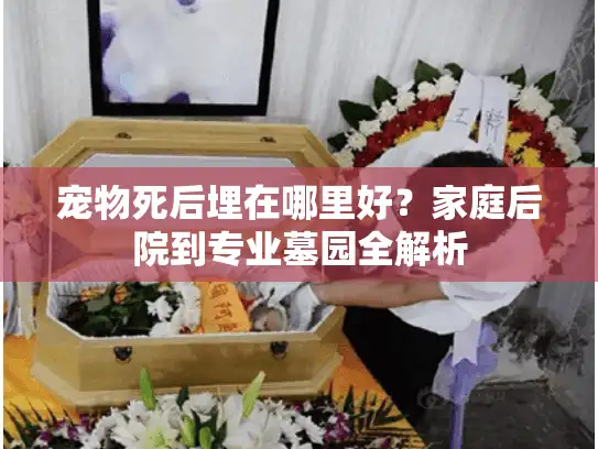 宠物死后埋在哪里好？家庭后院到专业墓园全解析