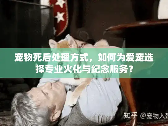 宠物死后处理方式，如何为爱宠选择专业火化与纪念服务？
