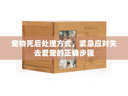 宠物死后处理方式，紧急应对失去爱宠的正确步骤