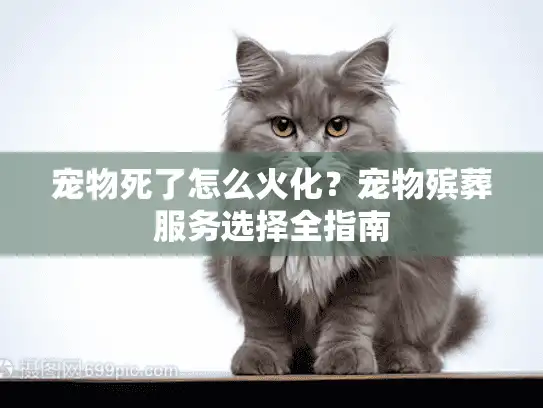 宠物死了怎么火化？宠物殡葬服务选择全指南