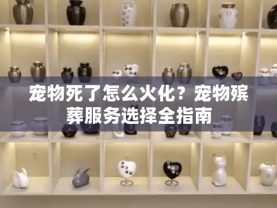 宠物死了怎么火化？宠物殡葬服务选择全指南