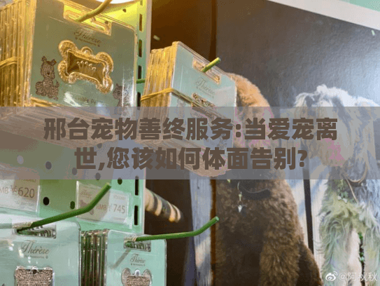 邢台宠物善终服务:当爱宠离世,您该如何体面告别? 邢台宠物善终服务:当爱宠离世,您该如何体面告别?