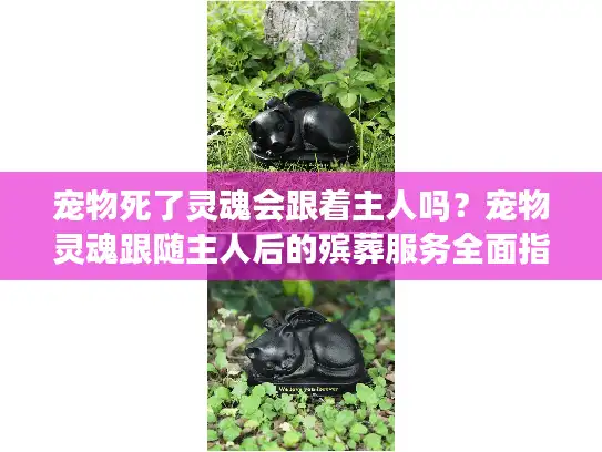 宠物死了灵魂会跟着主人吗？宠物灵魂跟随主人后的殡葬服务全面指南