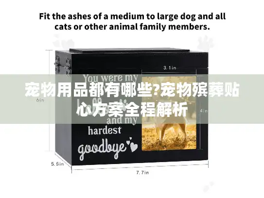 宠物用品都有哪些?宠物殡葬贴心方案全程解析