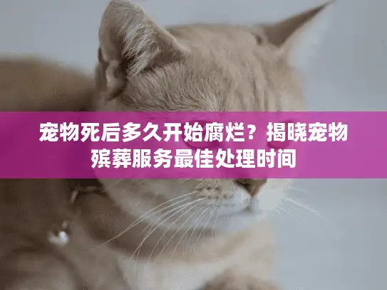 宠物死后多久开始腐烂?揭晓宠物殡葬服务最佳处理时间 宠物死后多久开始腐烂?揭晓宠物殡葬服务最佳处理时间