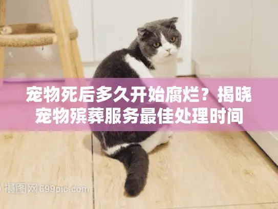 宠物死后多久开始腐烂?揭晓宠物殡葬服务最佳处理时间 宠物死后多久开始腐烂?揭晓宠物殡葬服务最佳处理时间