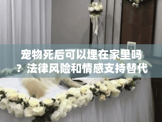 宠物死后可以埋在家里吗？法律风险和情感支持替代方案