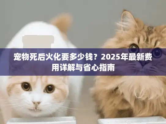 宠物死后火化要多少钱？2025年最新费用详解与省心指南