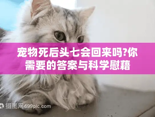 宠物死后头七会回来吗?你需要的答案与科学慰藉