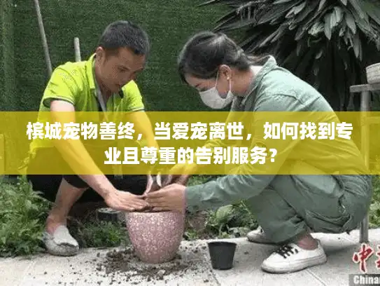 槟城宠物善终,当爱宠离世,如何找到专业且尊重的告别服务? 槟城宠物善终,当爱宠离世,如何找到专业且尊重的告别服务?