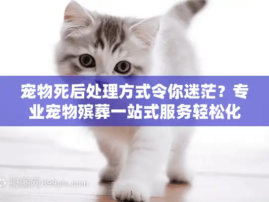 宠物死后处理方式令你迷茫？专业宠物殡葬一站式服务轻松化解困境