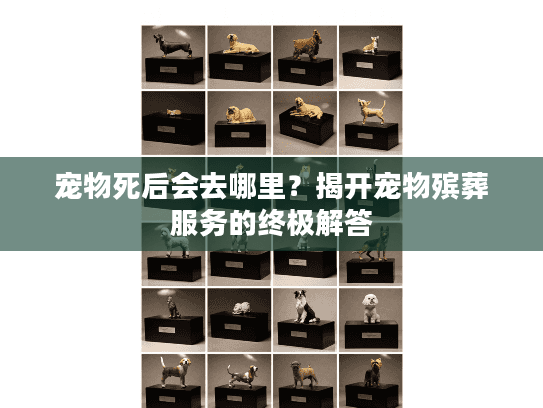 宠物死后会去哪里?揭开宠物殡葬服务的终极解答 宠物死后会去哪里?揭开宠物殡葬服务的终极解答