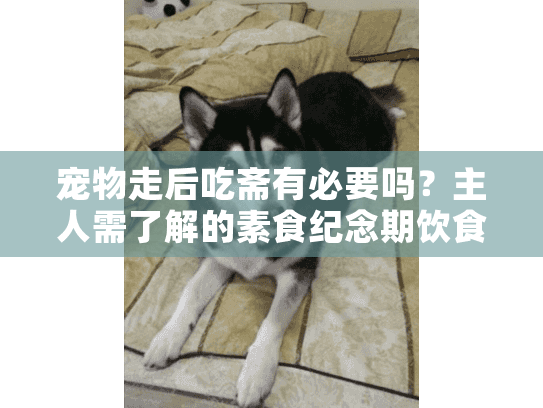 宠物走后吃斋有必要吗？主人需了解的素食纪念期饮食指南