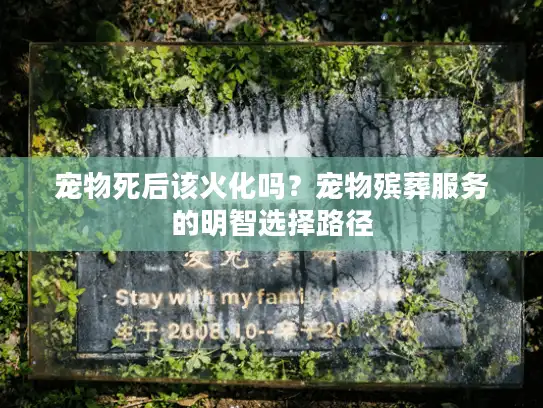 宠物死后该火化吗？宠物殡葬服务的明智选择路径