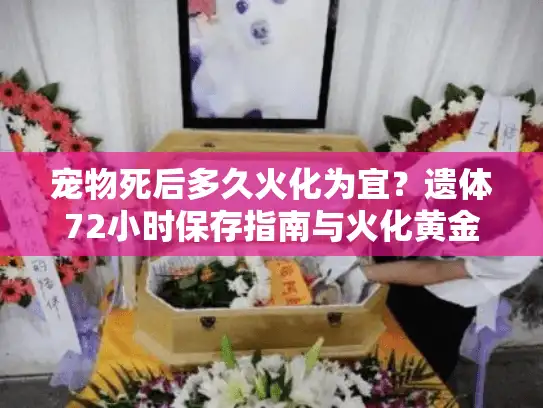 宠物死后多久火化为宜？遗体72小时保存指南与火化黄金期解析