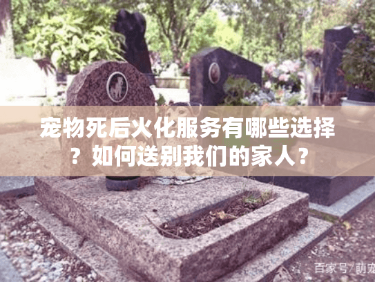 宠物死后火化服务有哪些选择？如何送别我们的家人？