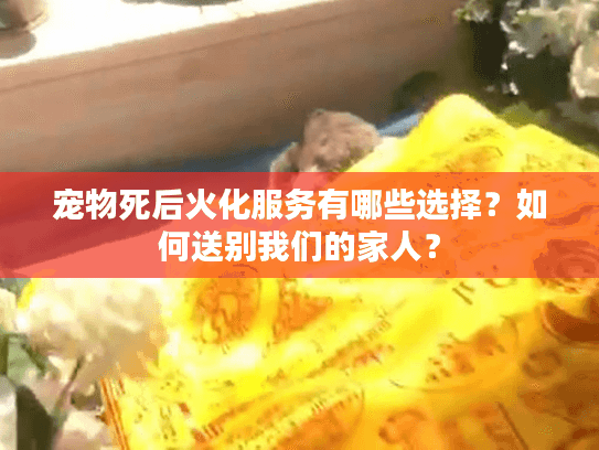 宠物死后火化服务有哪些选择？如何送别我们的家人？