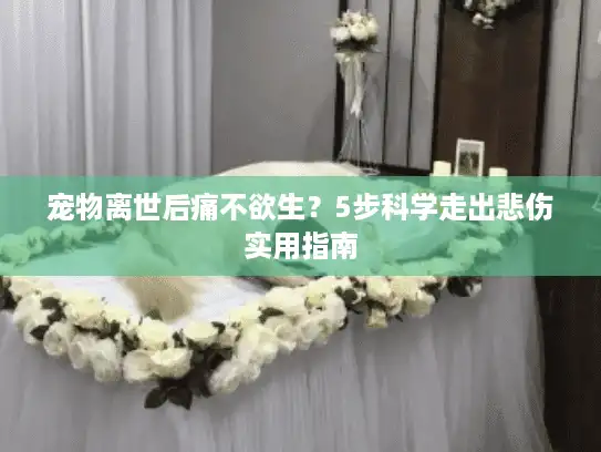 宠物离世后痛不欲生？5步科学走出悲伤实用指南