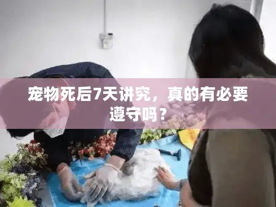 宠物死后7天讲究，真的有必要遵守吗？