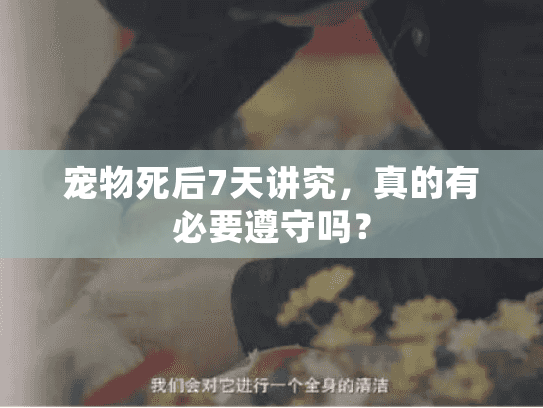 宠物死后7天讲究，真的有必要遵守吗？
