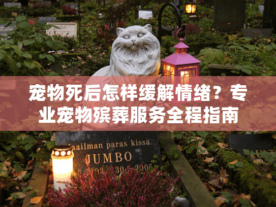 宠物死后怎样缓解情绪?专业宠物殡葬服务全程指南 宠物死后怎样缓解情绪?专业宠物殡葬服务全程指南