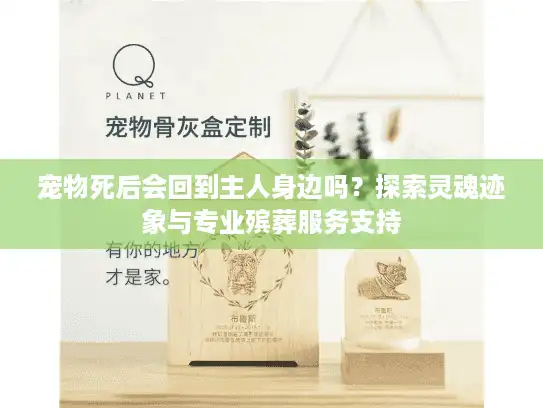 宠物死后会回到主人身边吗？探索灵魂迹象与专业殡葬服务支持