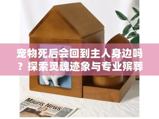 宠物死后会回到主人身边吗？探索灵魂迹象与专业殡葬服务支持