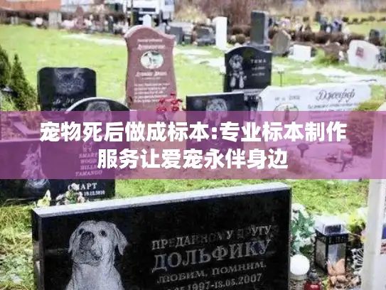 宠物死后做成标本:专业标本制作服务让爱宠永伴身边