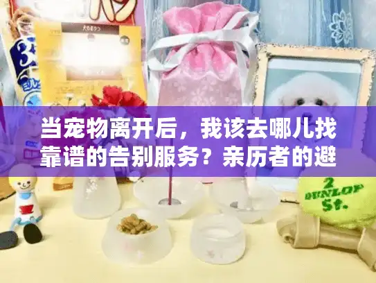 当宠物离开后，我该去哪儿找靠谱的告别服务？亲历者的避坑指南