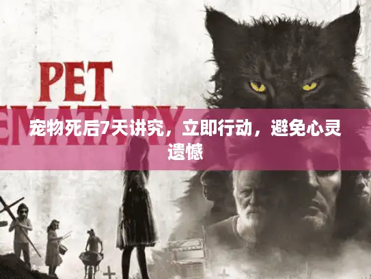 宠物死后7天讲究，立即行动，避免心灵遗憾
